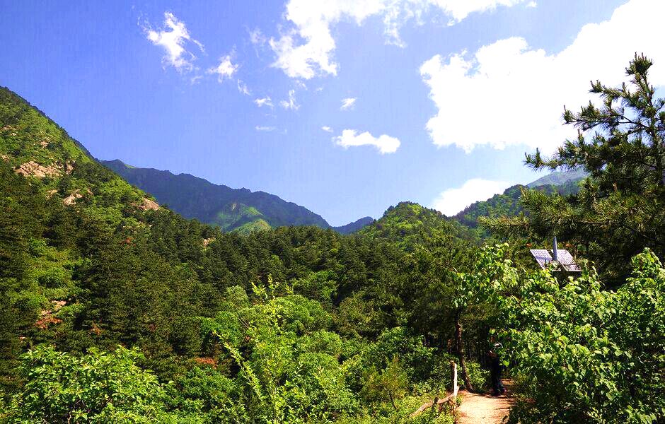 松树山自然保护区