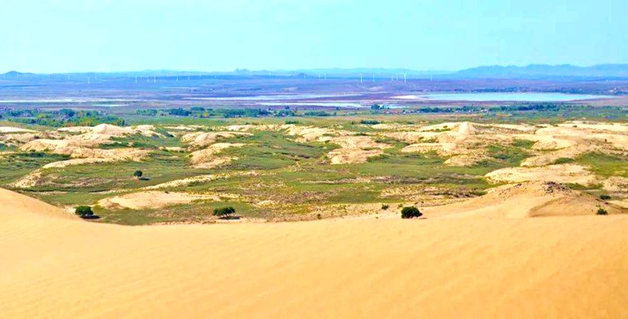 其甘湖东北面的沙漠