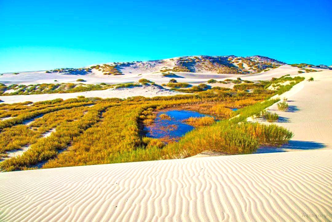 其甘沙漠与里面的泡子