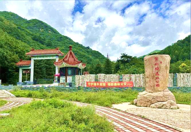 茅荆坝国家森林公园