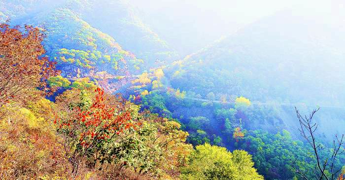 茅荆坝森林公园 茅荆坝森林公园