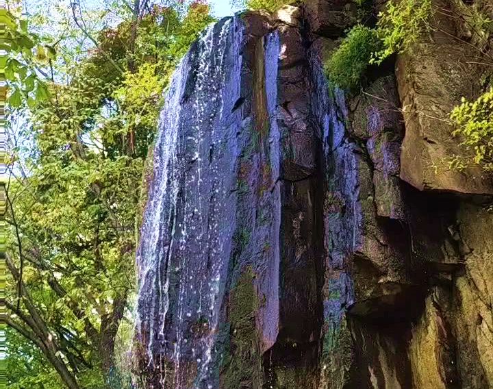 茅荆坝森林公园