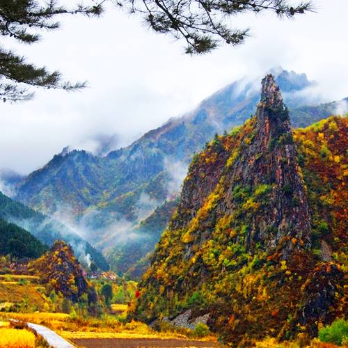 茅荆坝森林公园