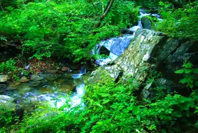 高格斯台罕乌拉自然保护区