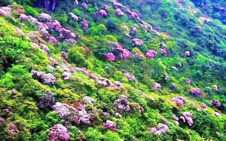 西沙布台自然保护区 西沙布台自然保护区