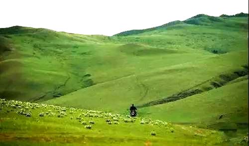 达拉哈草原旅游区 达拉哈草原旅游区