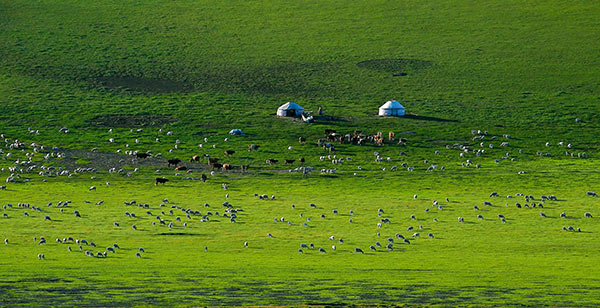阿鲁科尔沁自然保护区