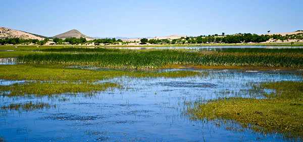 阿鲁科尔沁自然保护区