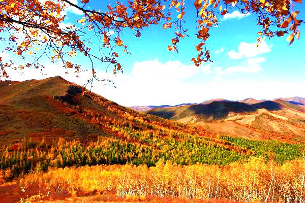 福山生态旅游区