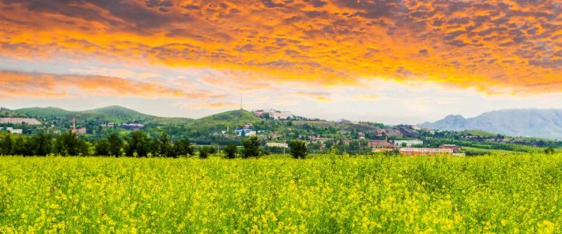 大井古铜矿遗址