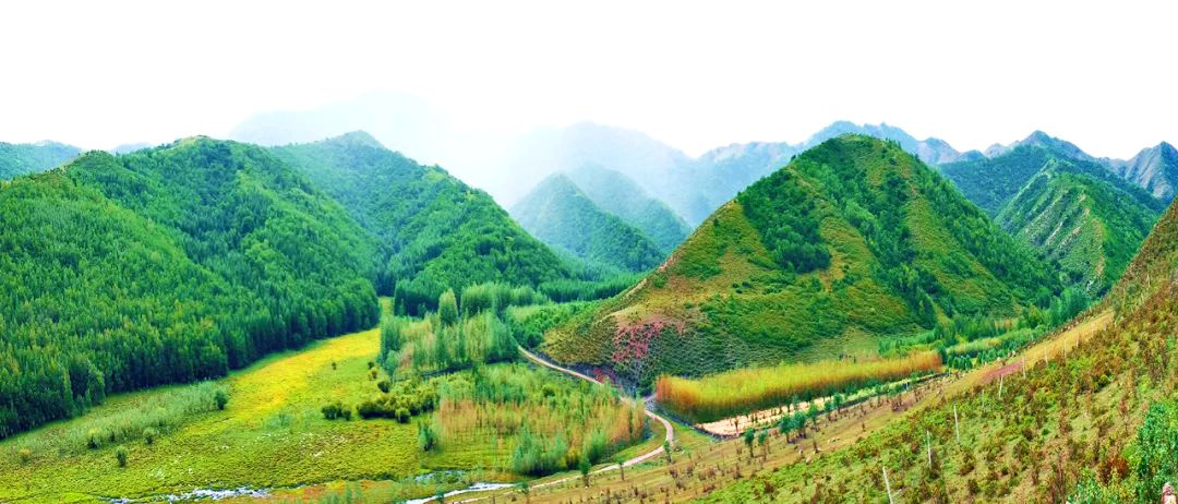 大冷山生态旅游区