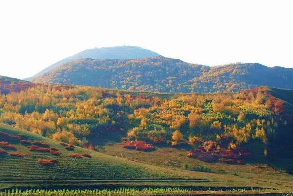 大冷山自然生态旅游区