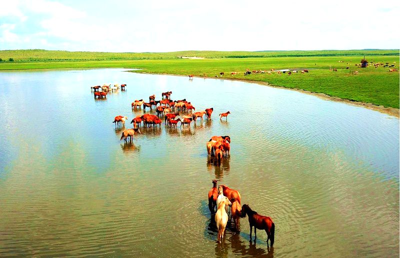 甘珠尔苏木美景 甘珠尔苏木美景