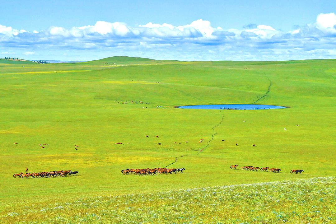 古日班赛罕夏营地