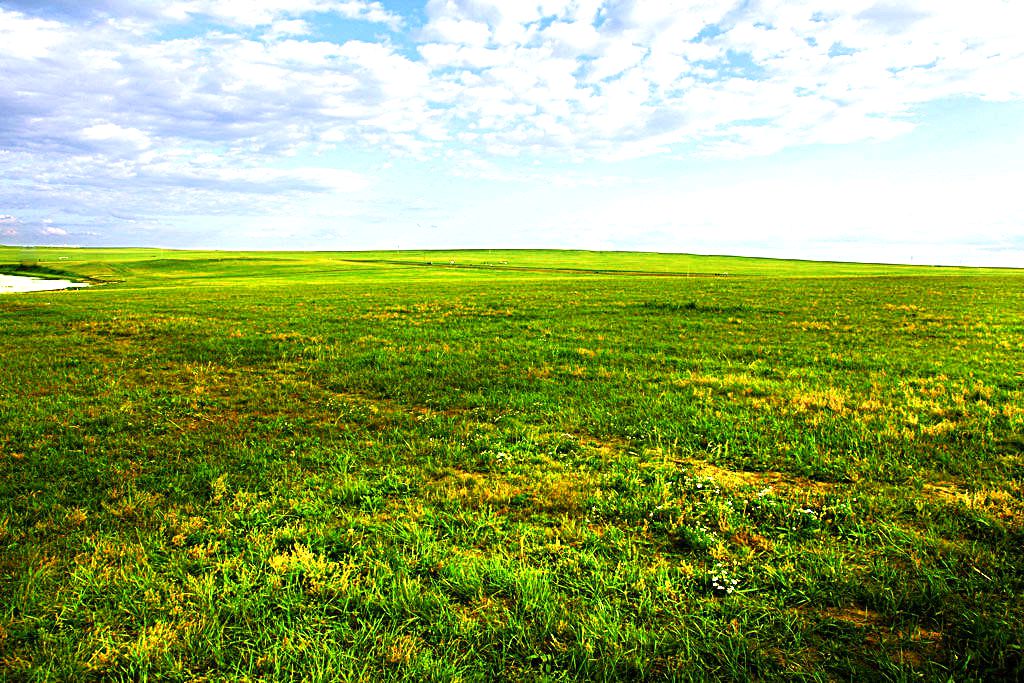 呼和诺尔草原