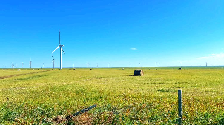 东乌珠尔苏木草原 东乌珠尔苏木草原