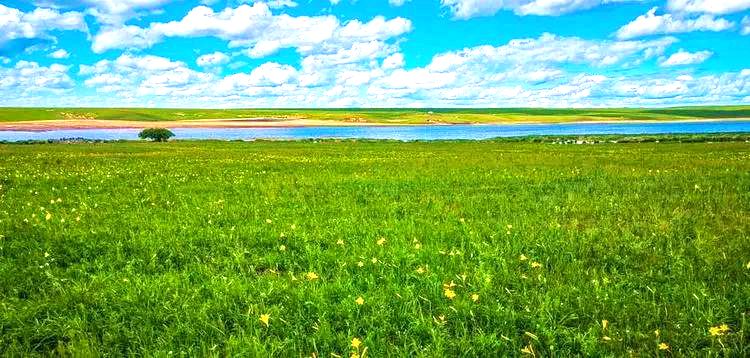 特尼河牧场 特尼河牧场