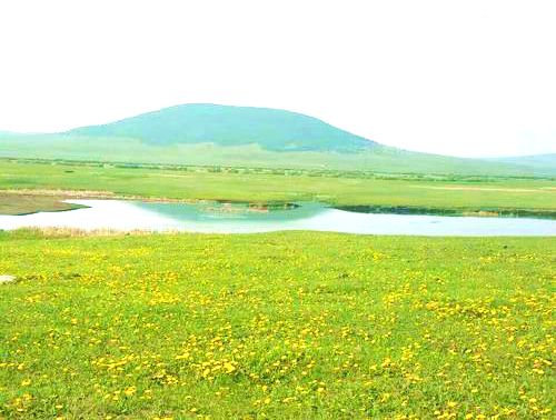 锡尼河东苏木草原