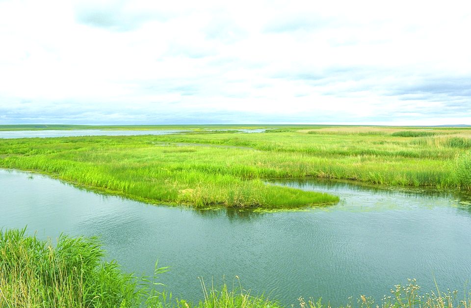 辉河国家级自然保护区 辉河国家级自然保护区