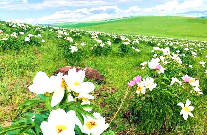 海拉尔农业发展园