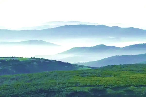 宝格达乌拉国家森林公园