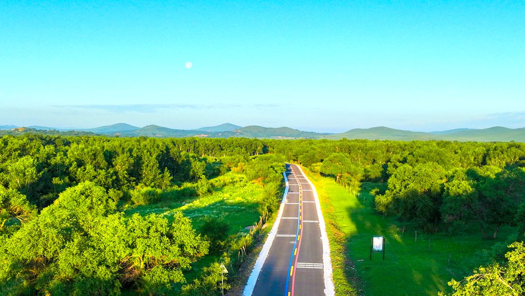 西乌旗99号公路 西乌旗99号公路