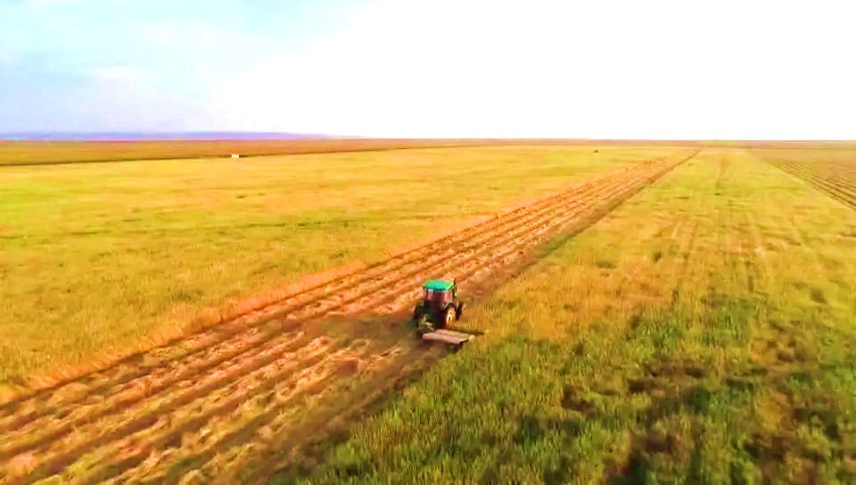 巴彦宝力格苏木草原