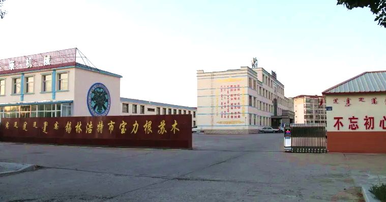 宝力根苏木政府大院