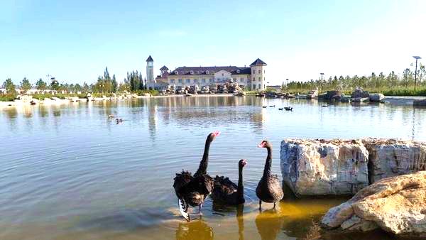 凤栖农牧业有限公司