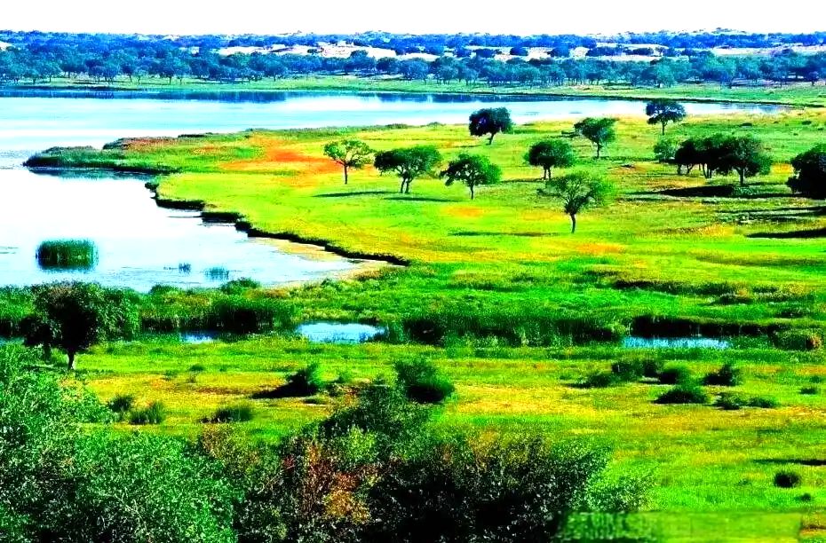 浑善达克沙地边缘的上都湖