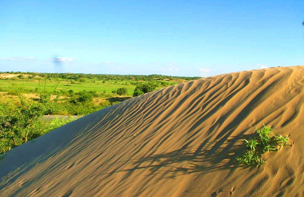 赛音呼都嘎草原