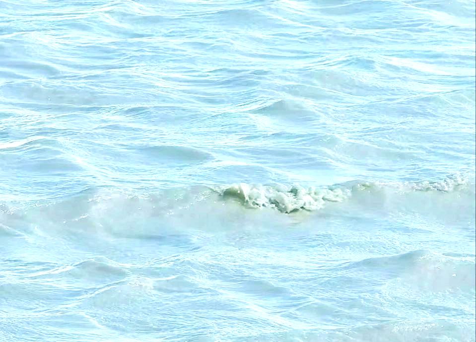 贡宝拉格苏木牛奶湖