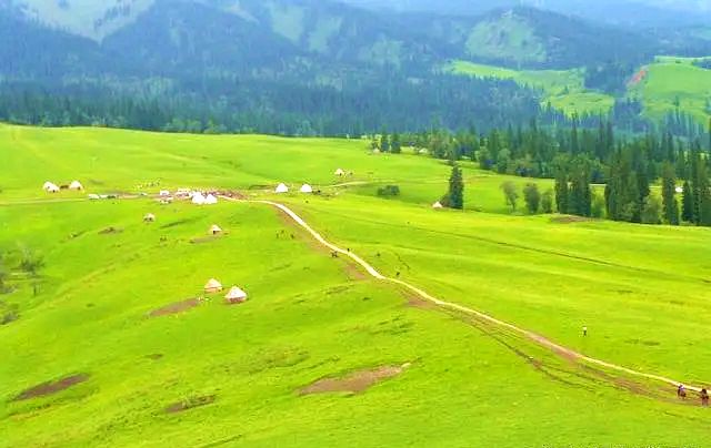 宝拉根陶海苏木陶林宝拉格嘎查