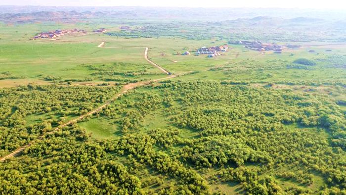 宝绍岱苏木疏林草原