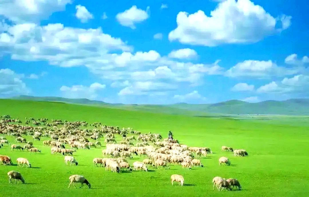 巴彦乌拉苏木草原 巴彦乌拉苏木草原