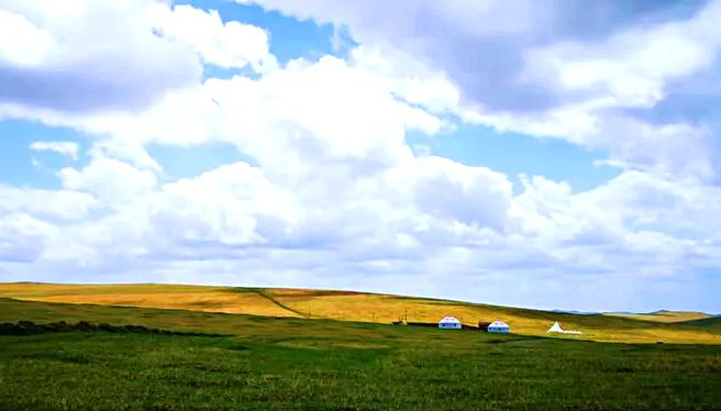 东八号乡高山牧场
