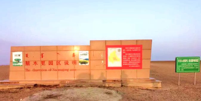 四子王国家地质园区脑木更园区